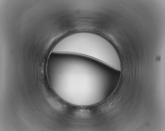 X0000089670543200706210755