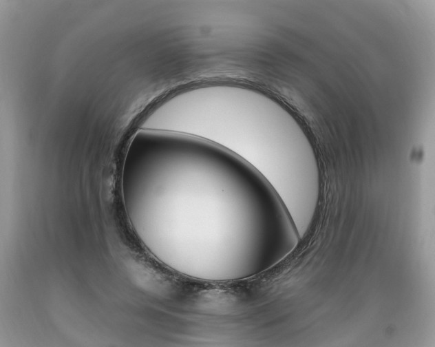 X0000089670544200706210755