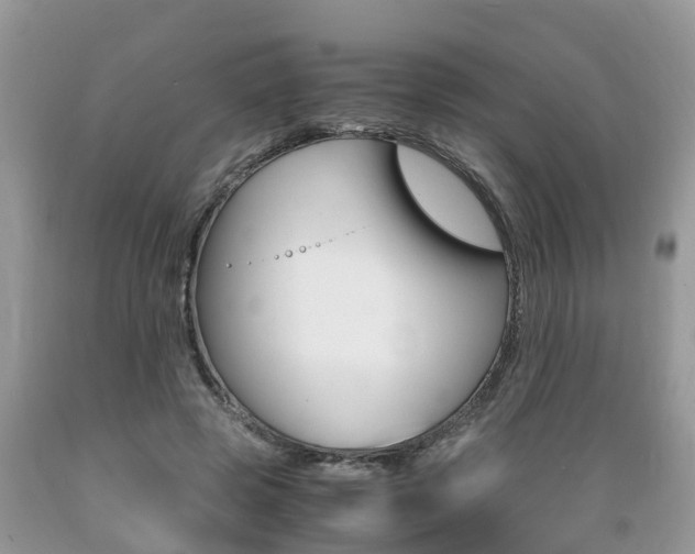 X0000089670545200706210755