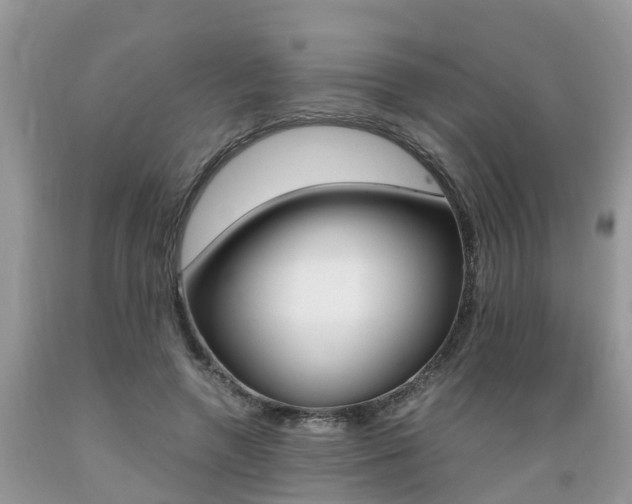 X0000089670546200706210755