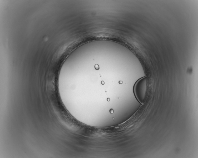 X0000089670547200706210755
