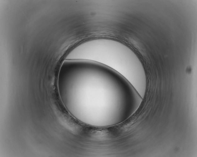 X0000089670548200706210755
