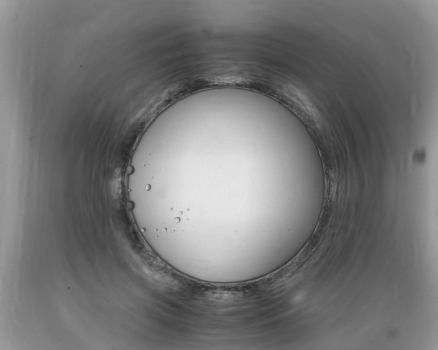 X0000089670549200706210755