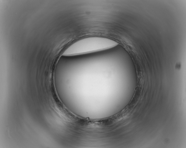 X0000089670550200706210755