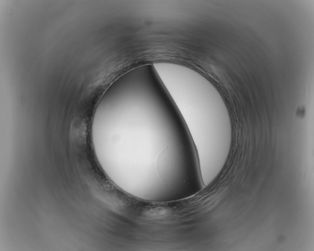X0000089670551200706210755