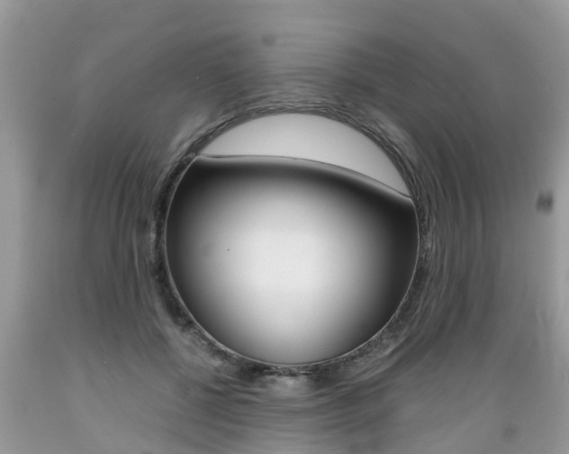 X0000089670552200706210755