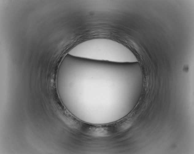 X0000089670553200706210755