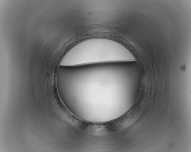 X0000089670554200706210755