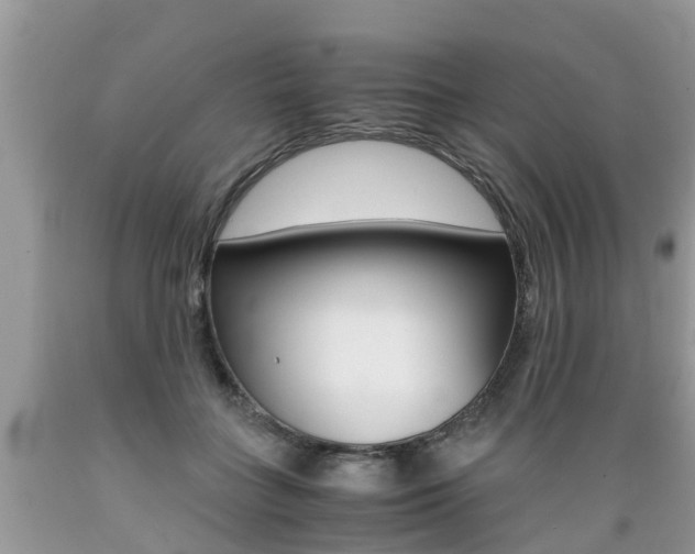 X0000089670555200706210755