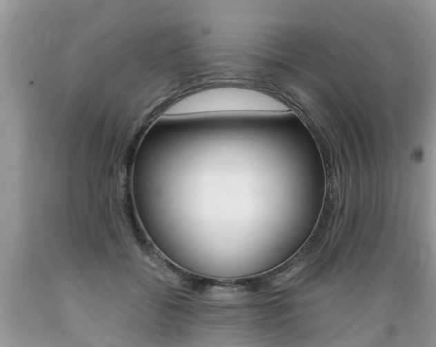 X0000089670556200706210755