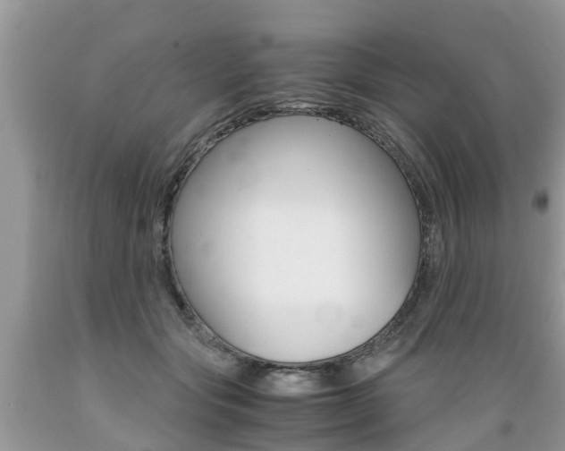 X0000089670557200706210755