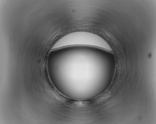 X0000089670558200706210755