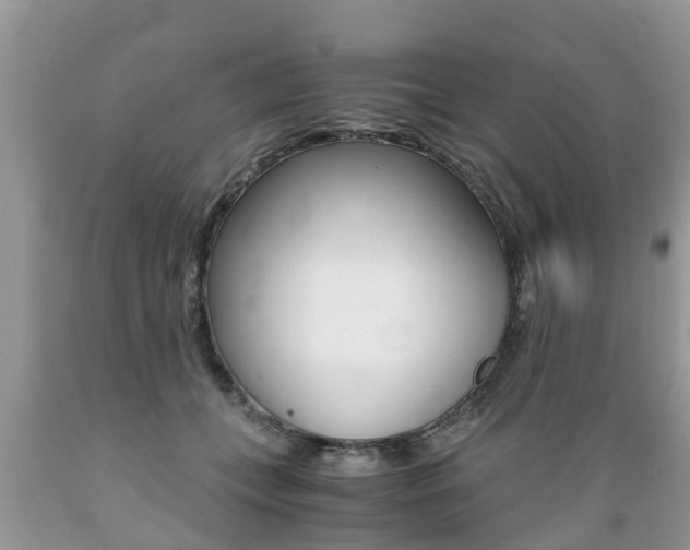 X0000089670559200706210755