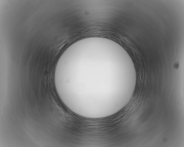 X0000089670560200706210755