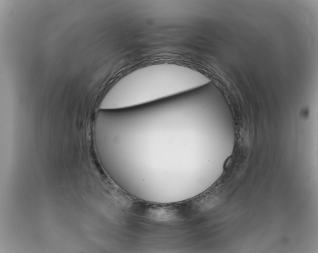 X0000089670561200706210755