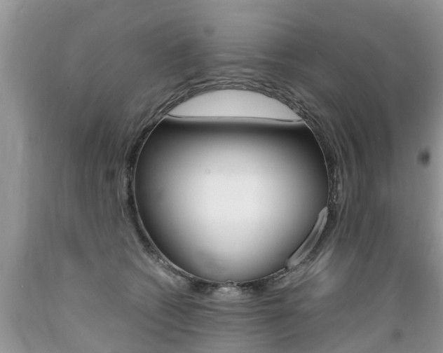 X0000089670562200706210755