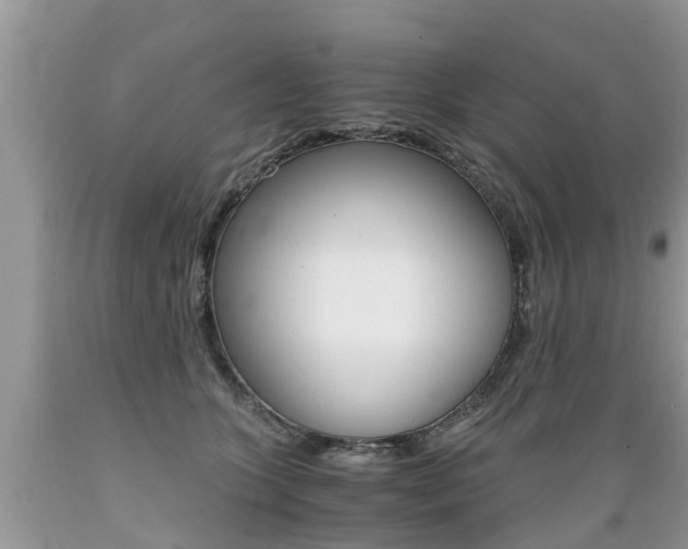 X0000089670563200706210755