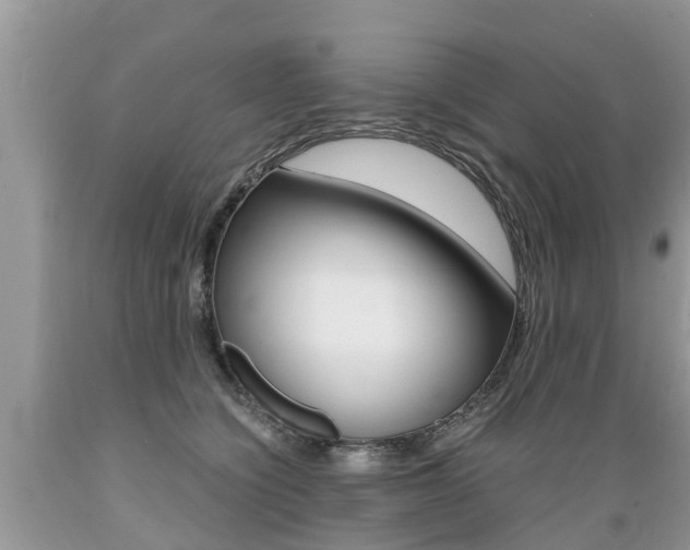X0000089670564200706210756