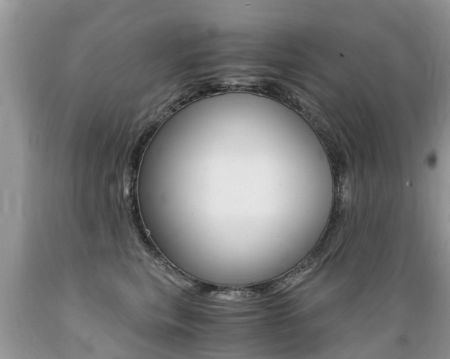 X0000089670567200706210756