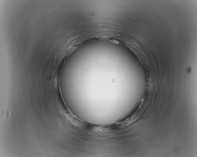 X0000089670568200706210756