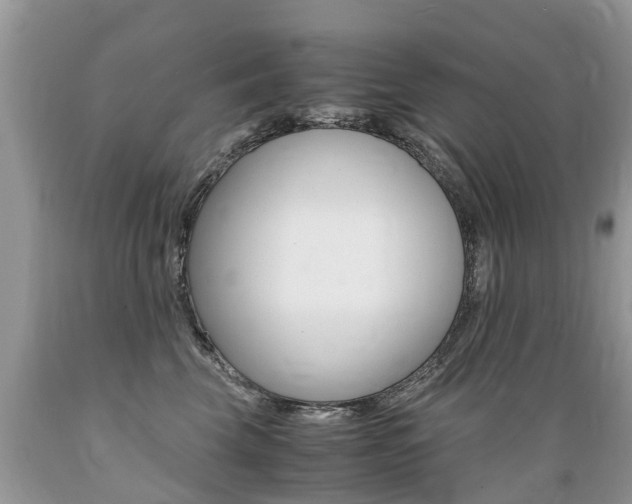 X0000089670569200706210756