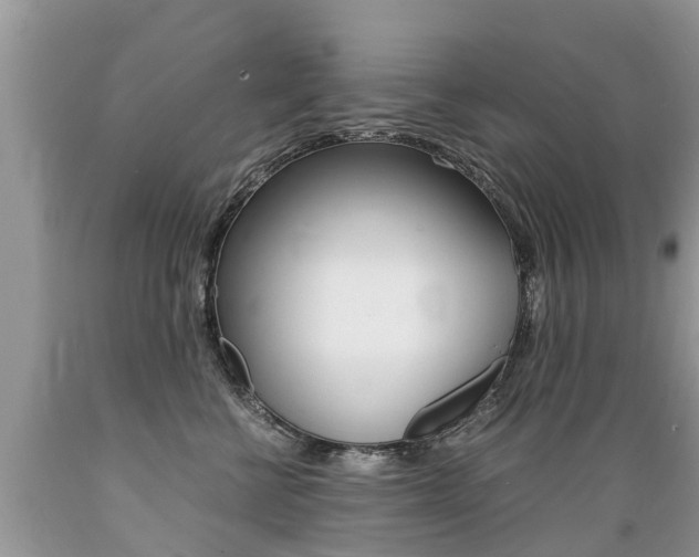 X0000089670570200706210756