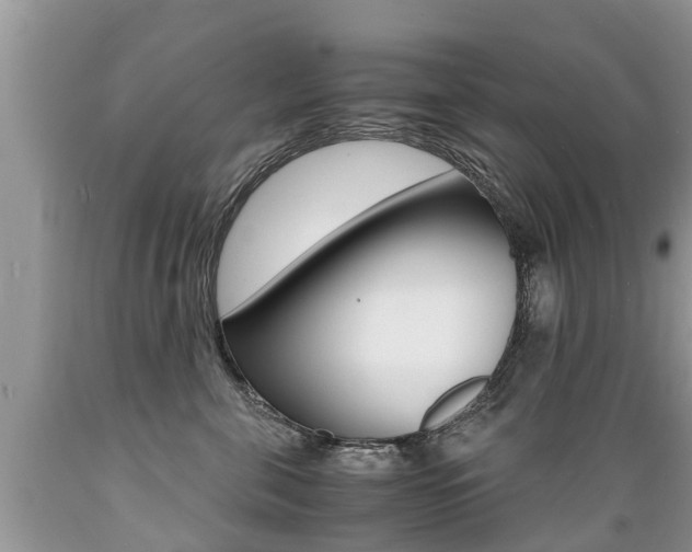 X0000089670571200706210756