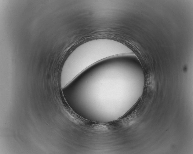 X0000089670572200706210756