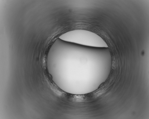 X0000089670573200706210756
