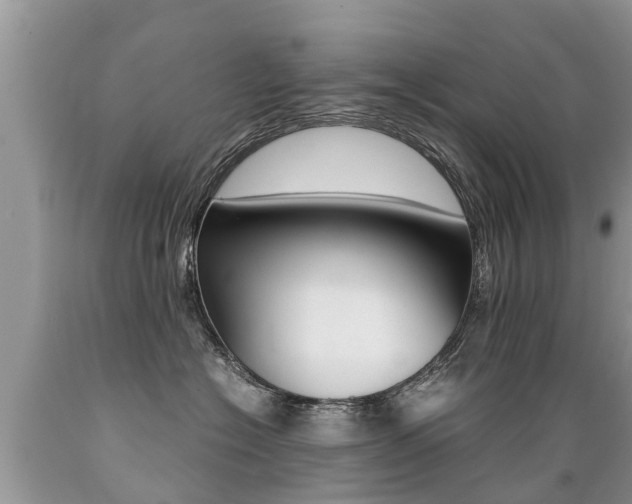 X0000089670574200706210756