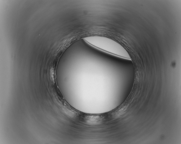 X0000089670575200706210756