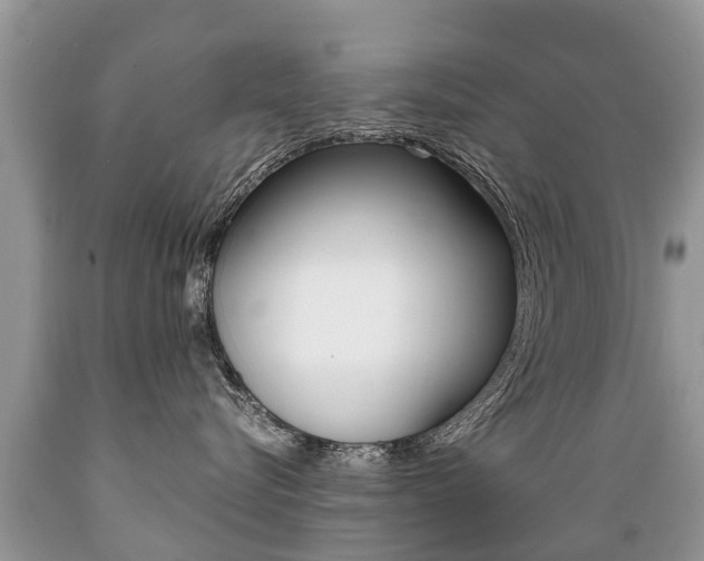 X0000089670576200706210756