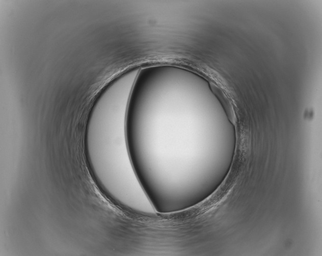 X0000089670577200706210755
