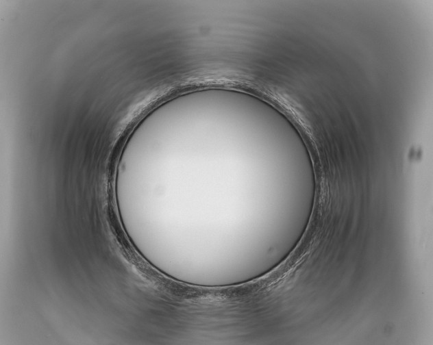 X0000089670578200706210755