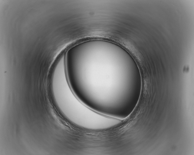 X0000089670580200706210755