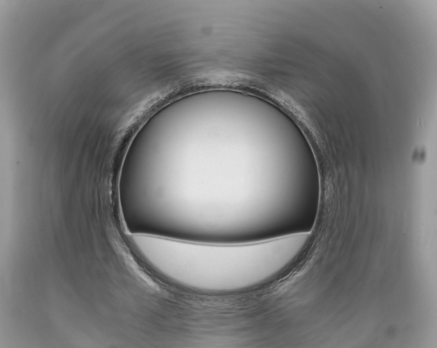 X0000089670581200706210755