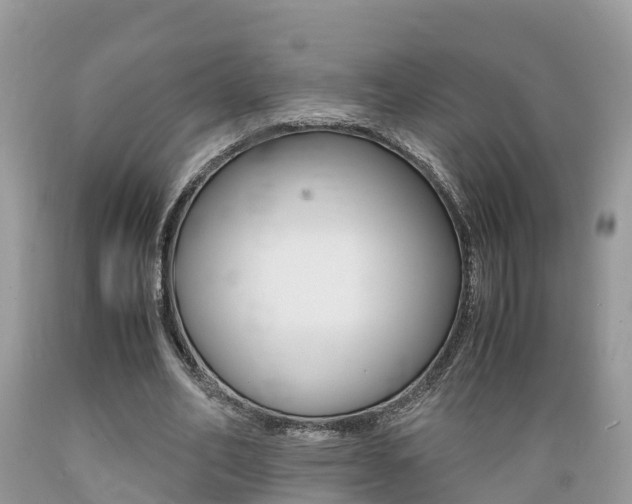 X0000089670582200706210755