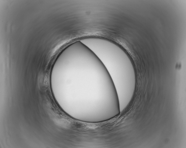 X0000089670583200706210755