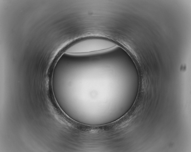 X0000089670584200706210755