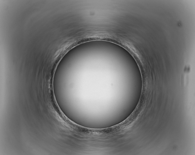 X0000089670585200706210755