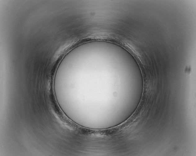 X0000089670586200706210755