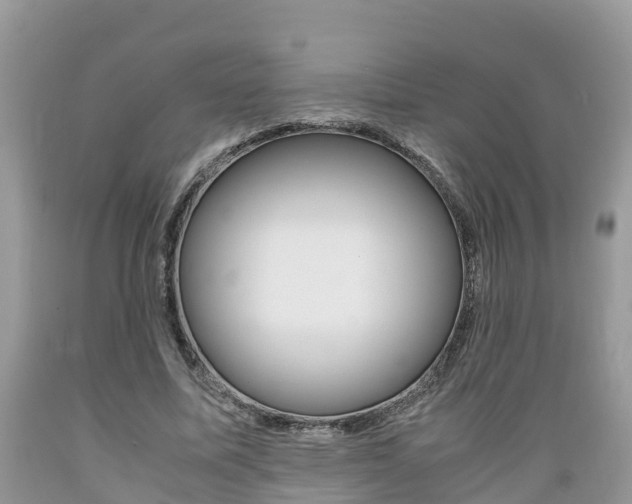 X0000089670587200706210755