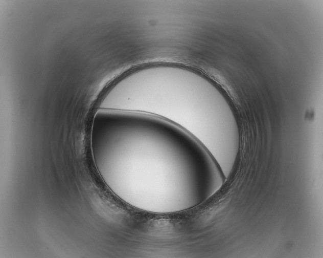 X0000089670588200706210755