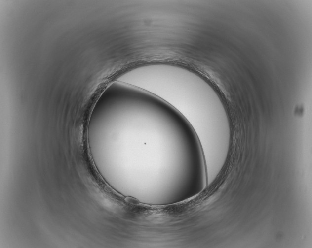 X0000089670589200706210755