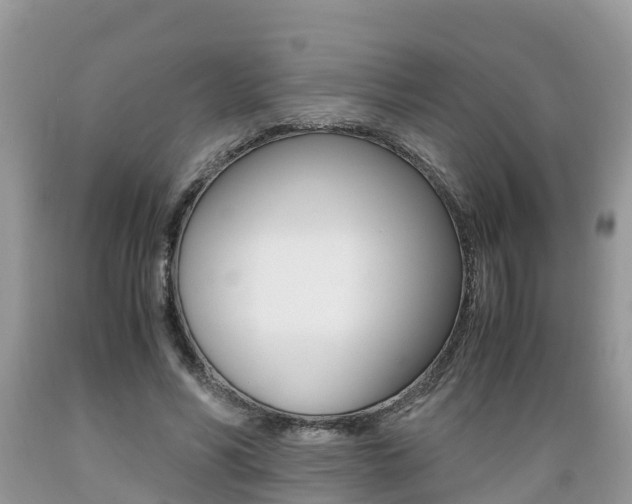 X0000089670590200706210755