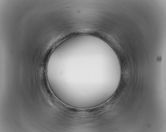 X0000089670591200706210755