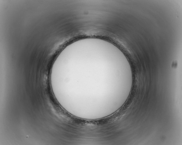 X0000089670592200706210755