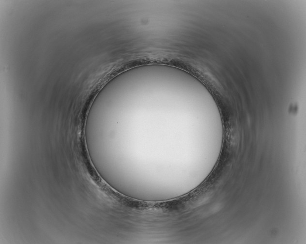 X0000089670593200706210755