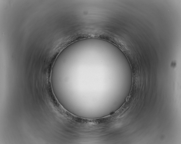 X0000089670594200706210755