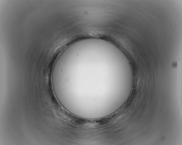 X0000089670595200706210755